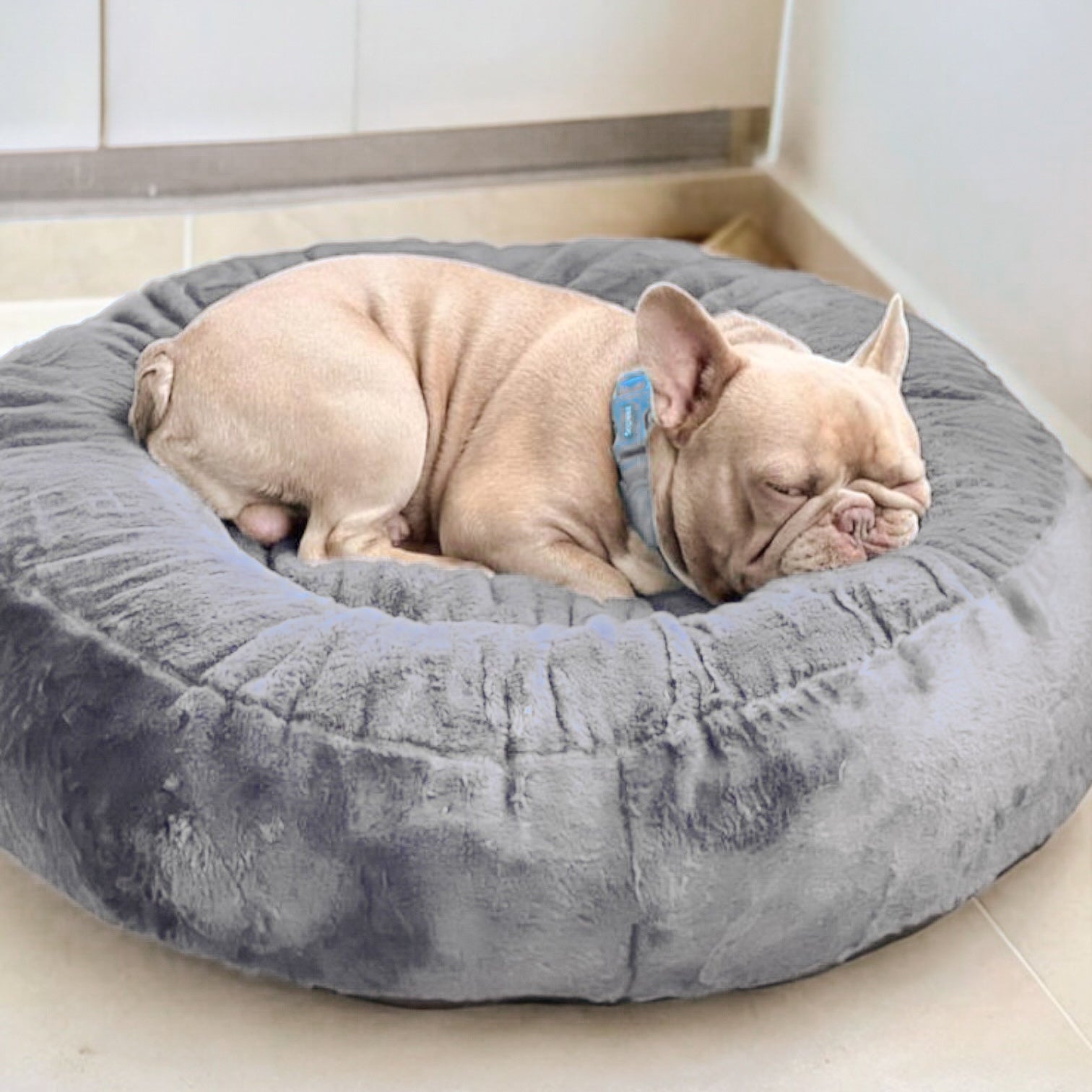 Cama Puff Bizcuit para perro o gato Indupet Mascotas