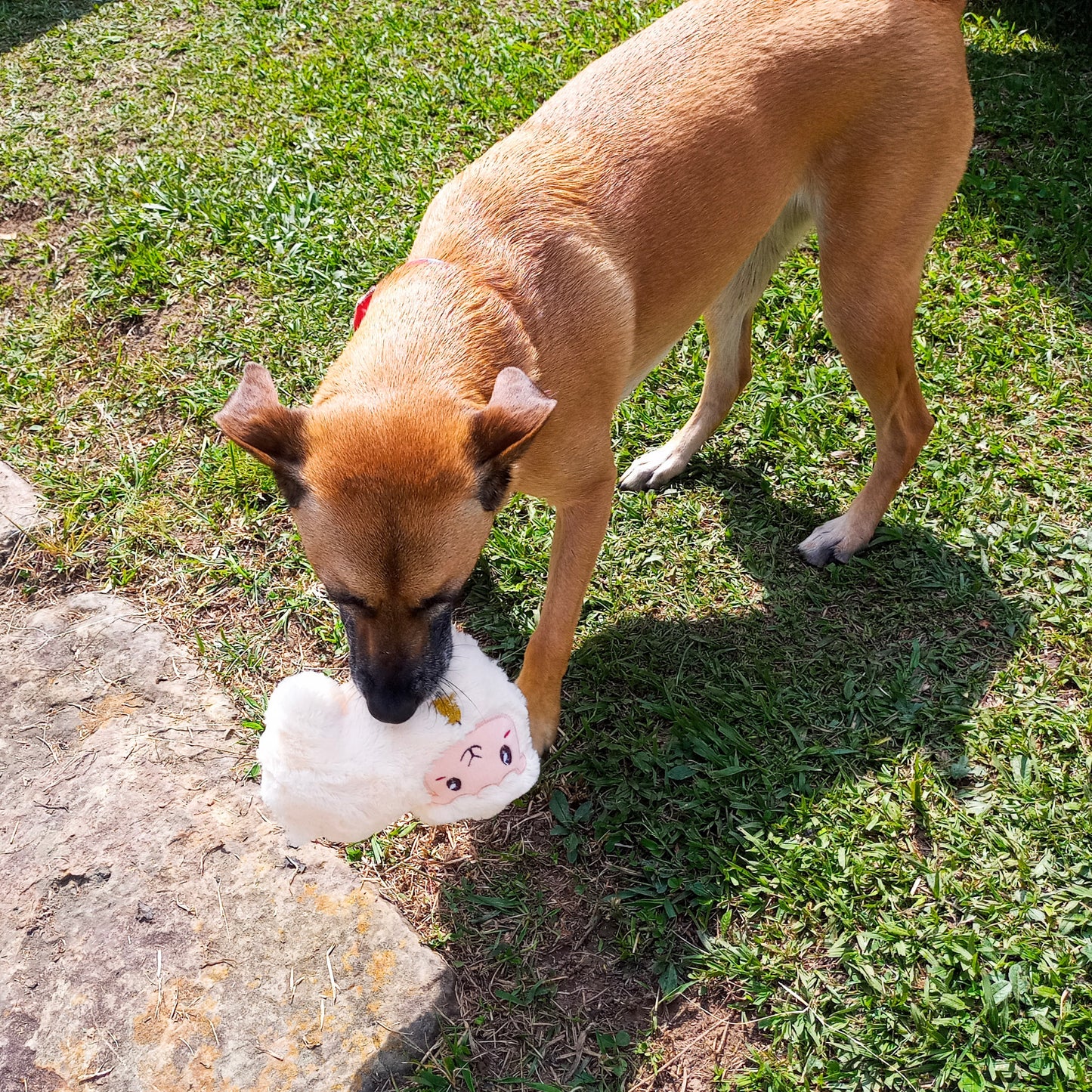 Peluche Oveja