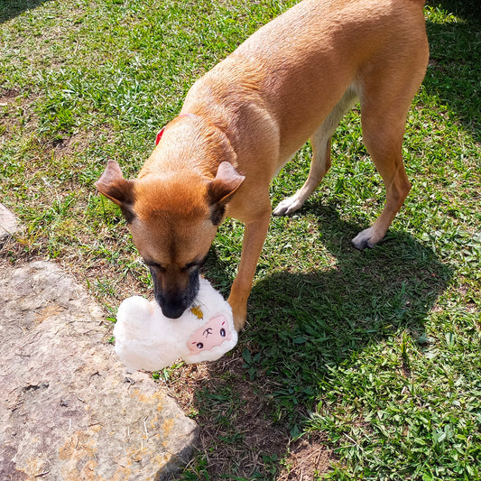 Peluche Oveja