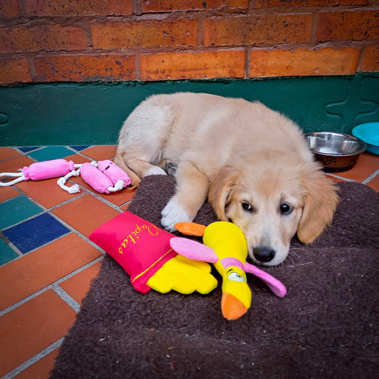 Peluche Papitas Francesas