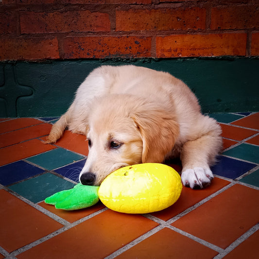 Peluche Piña