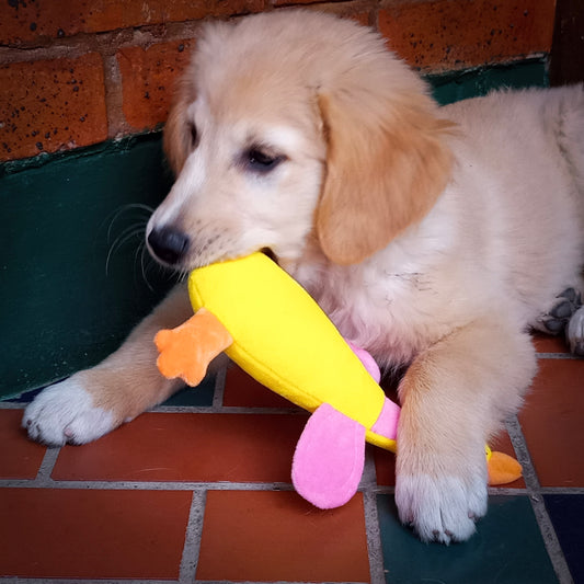 Peluche Mr. Pato