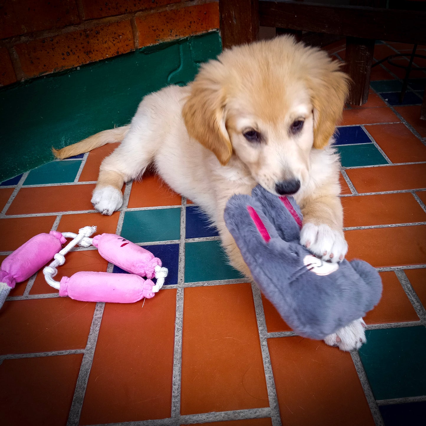 Peluche Conejo