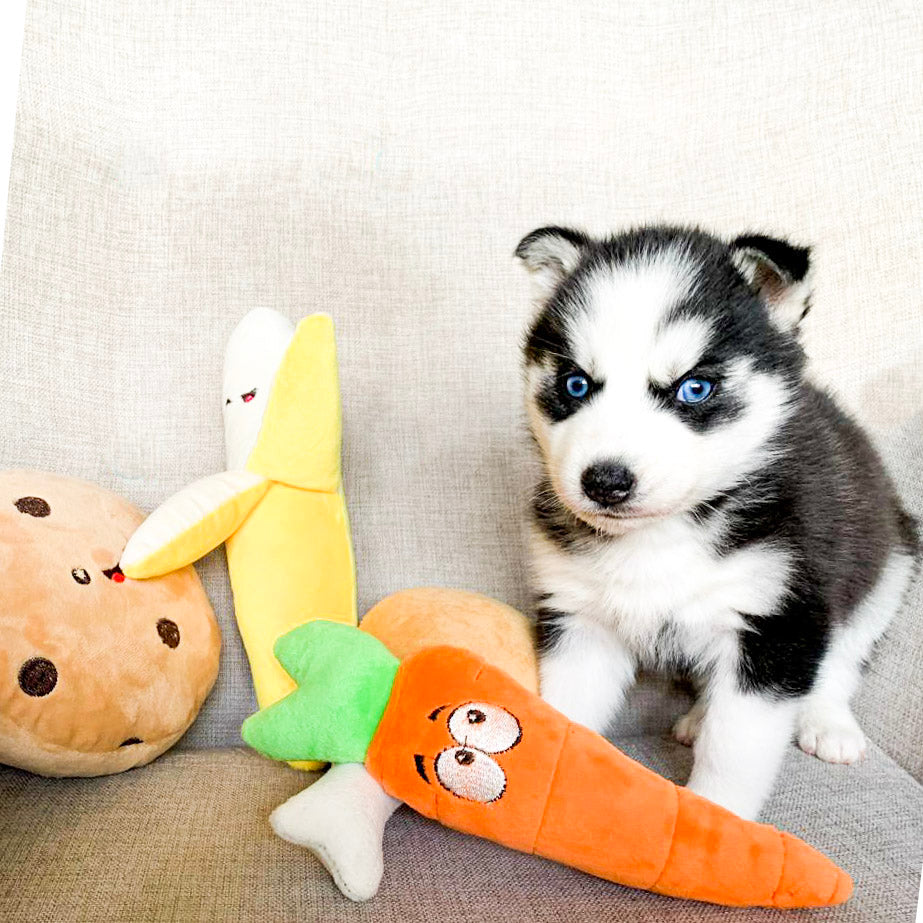 Alfombrilla de peluche para perro, juguete interactivo innovador para  mascota, zanahoria, rábano - AliExpress