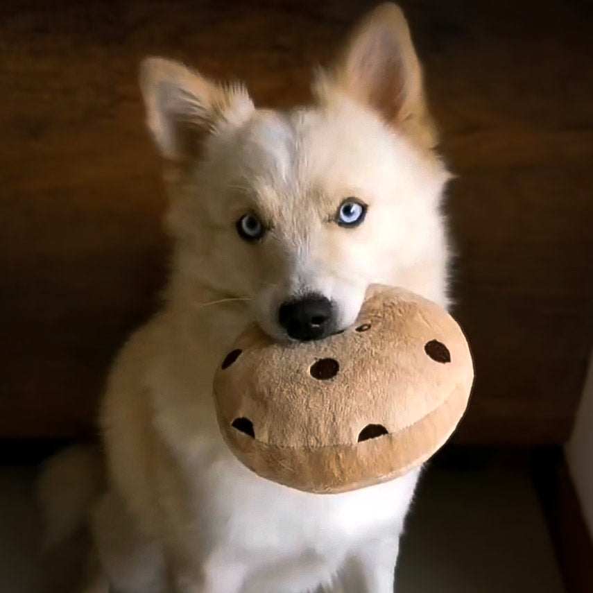 Peluche Galleta